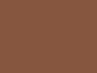 Little Greene - Muscovado 343